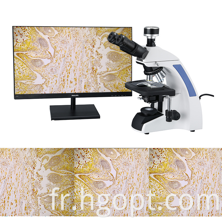 Professional Manufacture 10mp 4k Polarization Microscope Camera Tv In For Sale3